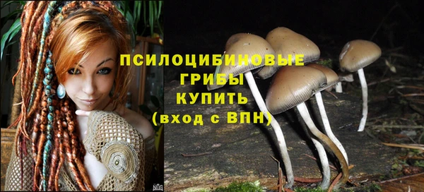 марки lsd Кодинск