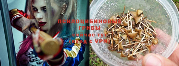 гидропоника Козельск